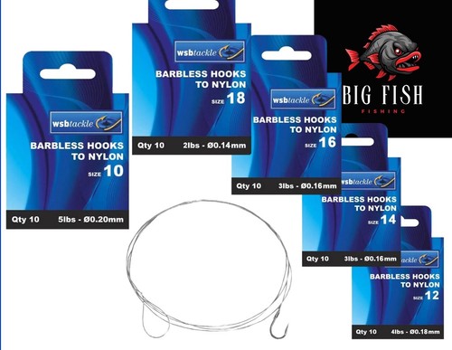 Barbless hooks nylon - -, carp